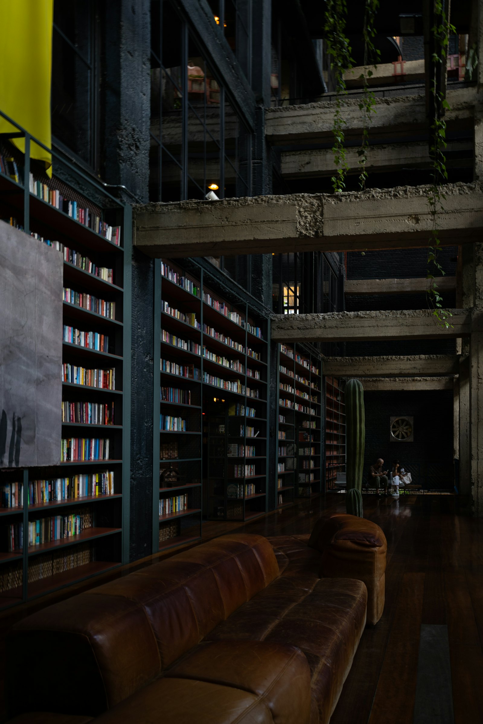 Bibliothek mit vollen B&uuml;cherregalen